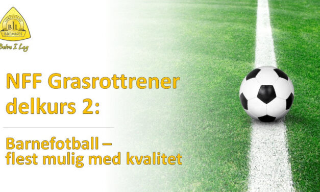 NFF Grasrottrener, Delkurs 2: Barnefotball